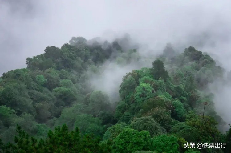 武功山已经披上了春装你何时去享一场洗肺润肺SPA